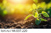 Young plant sprouting from rich soil in a sunlit garden during early spring. Стоковое AI-изображение, AI-художник Сергей Толмачёв / Фотобанк Лори