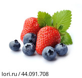 Strawberry and blueberry. Стоковое фото, фотограф Волошина Мария Ивановна / Фотобанк Лори