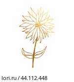 Golden branch, twig, flower,  floral ornament, frame. Стоковая иллюстрация, иллюстратор Наталия Бурма / Фотобанк Лори