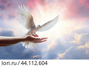 A white dove on hand against a blue sky background. Стоковое AI-изображение, AI-художник Виктория Тельминова / Фотобанк Лори