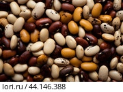 Striated Spotted beans colorful. Generate Ai. Стоковое AI-изображение, AI-художник Иван Рябоконь / Фотобанк Лори