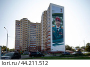 Мурал Герой РФ Александр Потапов  на торце дома микрорайон Дзержинского в Балашихе (2024 год). Редакционное фото, фотограф Дмитрий Неумоин / Фотобанк Лори