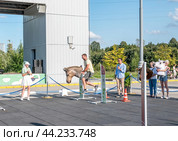 Соревнование по хоббихорсингу (2024 год). Редакционное фото, фотограф Галина Эмберг / Фотобанк Лори