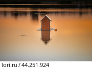 Домик для уточек в пруду. Стоковое фото, фотограф Юрий Шурчков / Фотобанк Лори