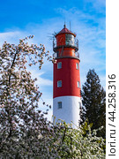 Baltiysk, Kaliningrad region, Russia, May 19 2022 Lighthouse in Baltiysk landscape of spring flowers. Редакционное фото, фотограф Наталья Симакова / Фотобанк Лори