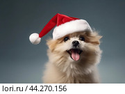 Infant doggo in scarlet Santa hat during Christmas. Стоковое AI-изображение, AI-художник Анастасия Золотницкая / Фотобанк Лори