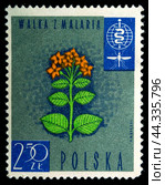 Почтовая марка с гашением Польша 1963 год. Борьба с малярией. Цветы хинного дерева суккулюмного (2024 год). Редакционное фото, фотограф Елена Бобкова / Фотобанк Лори