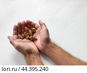 Hands gently holding colorful polyhedral dice on white background. Стоковое фото, фотограф Lamina Akulova / Фотобанк Лори