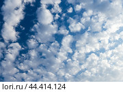 White altocumulus clouds are in blue sky on a sunny day. Стоковое фото, фотограф EugeneSergeev / Фотобанк Лори