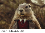 Whimsical Anthropomorphic marmot wearing aristocratic furry coat. Generate ai. Стоковое AI-изображение, AI-художник Иван Рябоконь / Фотобанк Лори