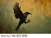 Black bird reaches up. Generate ai. Стоковое AI-изображение, AI-художник Иван Рябоконь / Фотобанк Лори