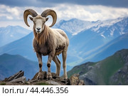 Mountain wild argali on the top of a rock against the backdrop of a mountain landscape. Стоковое AI-изображение, AI-художник Veniamin Kraskov / Фотобанк Лори