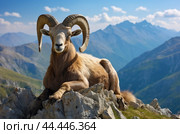 Mountain wild argali on the top of a rock against the backdrop of a mountain landscape. Стоковое AI-изображение, AI-художник Veniamin Kraskov / Фотобанк Лори