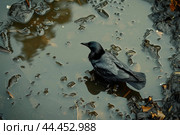 Aquatic Bird in dirty lake water. Generate ai. Стоковое AI-изображение, AI-художник Иван Рябоконь / Фотобанк Лори