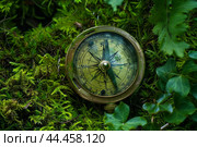 Antique compass on forest floor. Стоковое AI-изображение, AI-художник Иван Рябоконь / Фотобанк Лори
