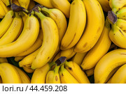 Top view of ripe bananas clustered together, perfect for healthy food themes. Стоковое AI-изображение, AI-художник Иван Рябоконь / Фотобанк Лори