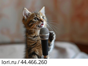Adorable tabby kitten appears to sing into a microphone with a cute expression. Стоковое AI-изображение, AI-художник Иван Рябоконь / Фотобанк Лори