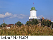Выборгский замок. Ленинградская область, Россия (2024 год). Редакционное фото, фотограф Роман Рожков / Фотобанк Лори