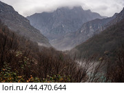 Alpine meadow highlands in fog, cloudy weather. River Moraca, canyon Platije. Beautiful Canyon of Moraca river in winter, Montenegro, Balkan, Europe (2022 год). Стоковое фото, фотограф Павел Муравьев / Фотобанк Лори