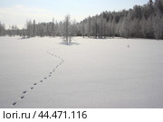 Зимний околок в Омской области. Стоковое фото, фотограф Александр Карпенко / Фотобанк Лори