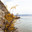 Baikal Lake in October day. Scenic landscape with yellowed bushes on steep cliffs of Olkhon Island on sandy beach of Small Sea. Natural seasonal background. Autumn travel and outdoor recreation. Стоковое фото, фотограф Виктория Катьянова / Фотобанк Лори