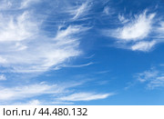 Appearance of layered-cirrus clouds in blue sky before weather worsens. Beautiful skyscape. Natural background of blue sky with unusual clouds on summer sunny day. Empty space for text, blank, mock up. Стоковое фото, фотограф Виктория Катьянова / Фотобанк Лори