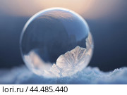A frozen soap bubble in the cold in the setting sun. Frosty weather concept. Стоковое фото, фотограф Ольга Петрова-Апостолова / Фотобанк Лори