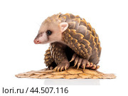 Tree pangolin on a white backround. Стоковое AI-изображение, AI-художник Veniamin Kraskov / Фотобанк Лори