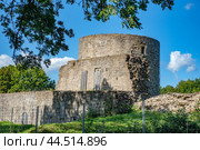 Ruins of Koporye fortress (2024) Стоковое фото, фотограф Анна Кривицкая / Фотобанк Лори