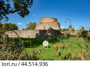 Ruins of Koporye fortress (2024) Стоковое фото, фотограф Анна Кривицкая / Фотобанк Лори