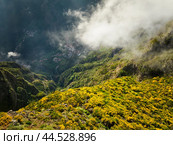 Aerial drone view of Curral das Freiras village, Madeira, Portugal (2024 год). Стоковое фото, фотограф Дмитрий Рухленко / Фотобанк Лори
