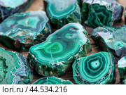 Vibrant collection of polished malachite slices. Стоковое AI-изображение, AI-художник Иван Рябоконь / Фотобанк Лори