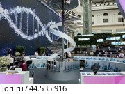 Фестиваль-форум «Территория будущего. Москва 2030», главной темой которого стала синергия человека, семьи и мегаполиса, а символом - спираль днк. Интерьер выставки и посетители./ Festival-forum "Territory of the Future. Moscow 2030", the main theme of which was the synergy of man, family and metropolis, and the symbol was the DNA helix. Exhibition interior and visitors. (2024 год). Редакционное фото, фотограф Iva Noel / Фотобанк Лори