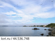 Остров Рейнеке, Владивосток (2024 год). Стоковое фото, фотограф Римма Тельнова / Фотобанк Лори
