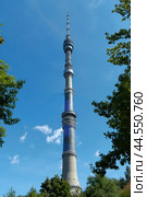 Останкинская телебашня (2024 год). Стоковое фото, фотограф MК / Фотобанк Лори