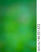 Background image of green and yellow tint vertical cropping. Стоковое фото, фотограф Evgenii Predibailo / Фотобанк Лори