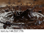 Highspeed capture of a rich chocolate splash with droplets suspended midair. Стоковое AI-изображение, AI-художник Иван Рябоконь / Фотобанк Лори