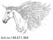 Detailed black and white pencil sketch of a mythical pegasus with elegant wings. Стоковое AI-изображение, AI-художник Иван Рябоконь / Фотобанк Лори