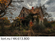Abandoned house overrun by nature. Стоковое AI-изображение, AI-художник Иван Рябоконь / Фотобанк Лори