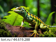 Striped Toloque in the wild. Стоковое AI-изображение, AI-художник Veniamin Kraskov / Фотобанк Лори