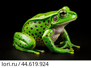 Beautiful green toad closeup. Стоковое AI-изображение, AI-художник Veniamin Kraskov / Фотобанк Лори