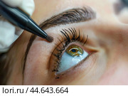 Closeup of eyebrow microblading procedure. Стоковое AI-изображение, AI-художник Иван Рябоконь / Фотобанк Лори