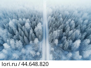 Aerial view of a snowy forest bisected by a solitary road. Стоковое AI-изображение, AI-художник Иван Рябоконь / Фотобанк Лори