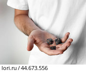 Hand holding polyhedral dice for tabletop gaming and role-playing games. Стоковое фото, фотограф Lamina Akulova / Фотобанк Лори