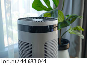 Modern air purifier working in living room with green plant purifying the air. Стоковое AI-изображение, AI-художник Иван Рябоконь / Фотобанк Лори