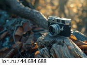 Vintage rangefinder camera sitting on tree stump in autumn forest. Стоковое AI-изображение, AI-художник Иван Рябоконь / Фотобанк Лори