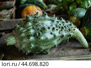 Green warty goblin squash sitting on a wooden crate. Стоковое AI-изображение, AI-художник Иван Рябоконь / Фотобанк Лори