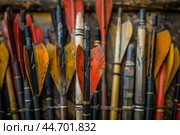 Red and yellow fletching on arrows in a row close up. Стоковое AI-изображение, AI-художник Иван Рябоконь / Фотобанк Лори