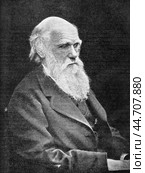 Charles Robert Darwin, 1809 - 1882, English naturalist and traveler, illustration from Plutarch of the 19 century, St. Petersburg, Russia, 1902-1903. Стоковое фото, фотограф Константин Тимофеев / Фотобанк Лори