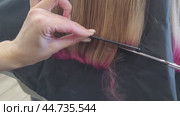 Hairdresser shortening hair length, trimming it with scissors, cutting off part of dyed hair. Стоковое видео, видеограф Сергей Чайко / Фотобанк Лори
